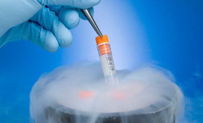 Cryopreservation