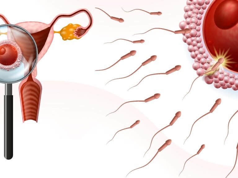 IVF Centre in Gurgaon